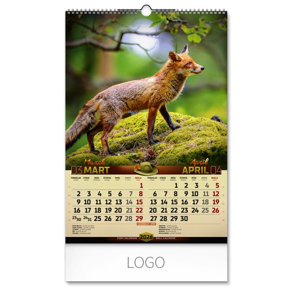 70031_002.jpg DOBAR POGLED