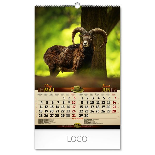 70031_003.jpg DOBAR POGLED