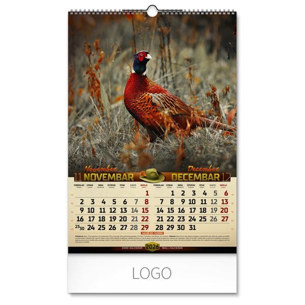 70031_006.jpg DOBAR POGLED